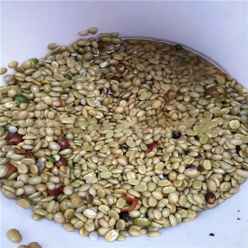 Specialty Parchment Coffee Roa - Coffee Equipment For Business avaliação e preço